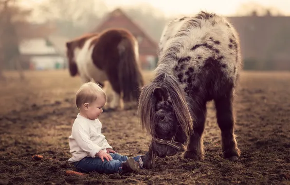 Picture nature, children, horse