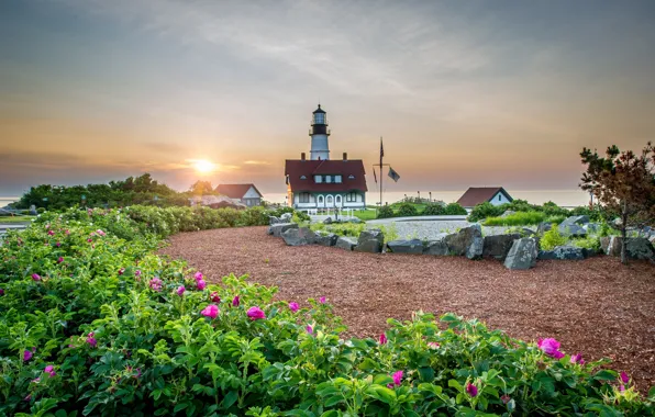 Picture landscape, flowers, nature, river, stones, dawn, lighthouse, home