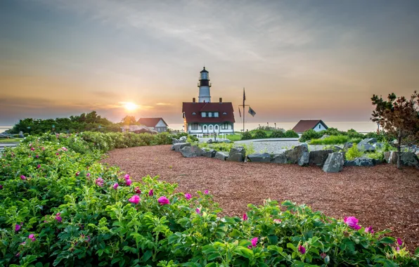 Landscape, flowers, nature, river, stones, dawn, lighthouse, home