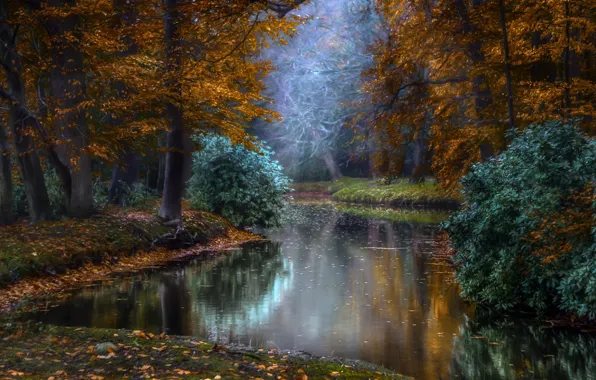 Autumn, rays, light, trees, nature, Park, pond, Holland