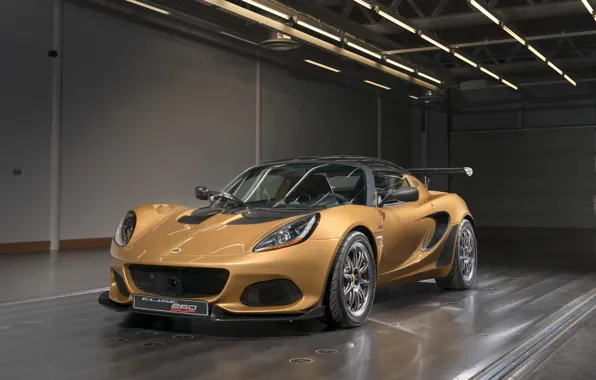 Picture Lotus, Cup, Elise, 2017, 260