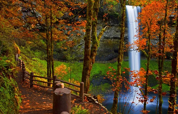 Picture road, autumn, forest, leaves, water, trees, landscape, mountains