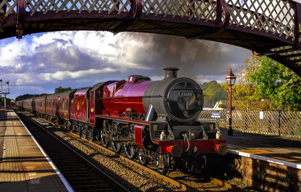 The way, smoke, train, the engine, cars, railroad