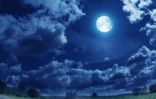 Field, clouds, trees, lights, the moon, the full moon
