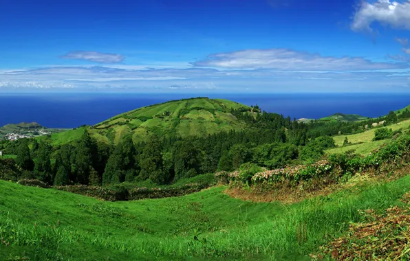 Sea, greens, the sky, grass, the sun, clouds, trees, mountains