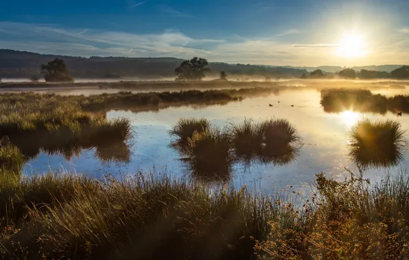 The sky, grass, water, the sun, clouds, rays, light, trees