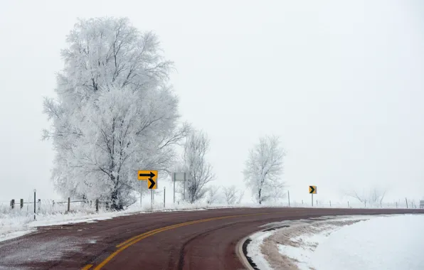 Winter, road, turn