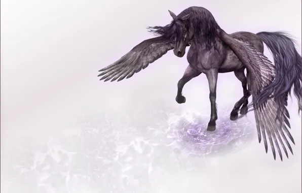 Rendering, wings, minimalism, Horse, Pegasus, tread