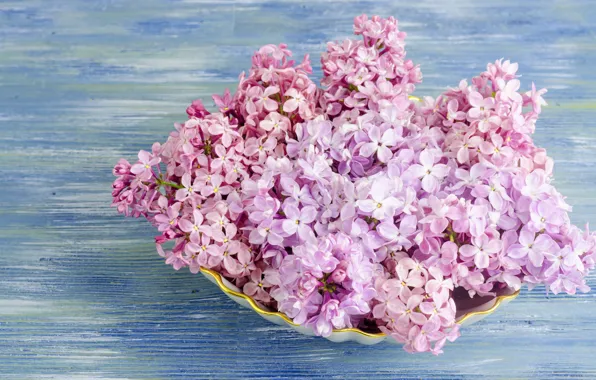 Flowers, wood, flowers, lilac, lilac