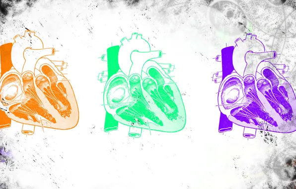 Figure, heart, structure