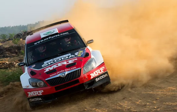 S2000, Skoda, Fabia, Fabia, Skoda, WRC2, Pontus Tidemand