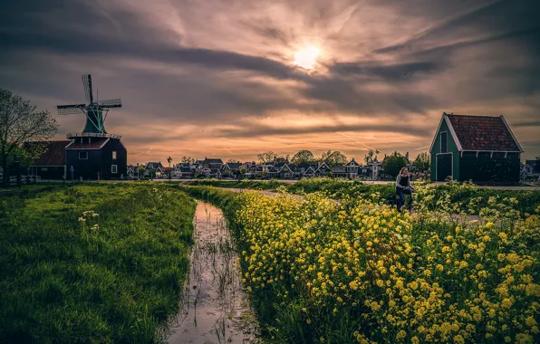 Picture home, treatment, mill, THROUGH THE YELLOW FURROW