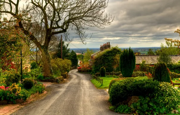 Picture road, trees, the city, photo, England, UK, the bushes, Horwich