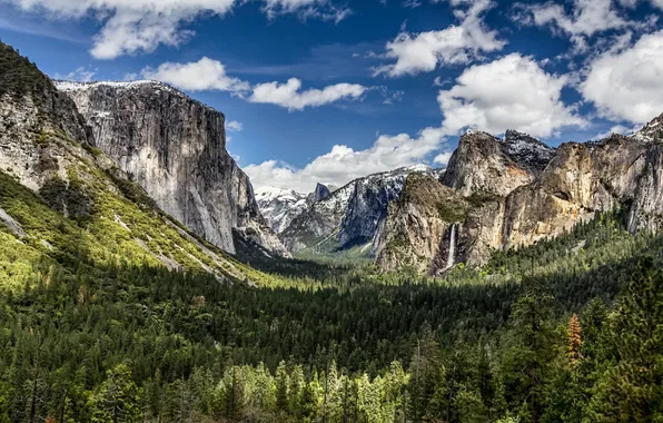 Forest, landscape, mountains, nature, panorama, Grand, California, Yosemite Valley