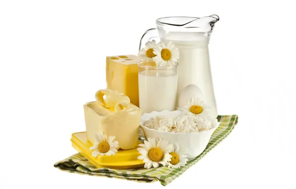 Picture flowers, glass, egg, oil, chamomile, cheese, milk, white background