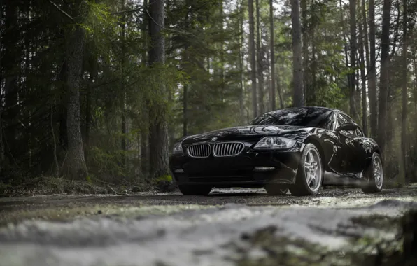 Car, machine, auto, bridge, city, fog, race, bmw