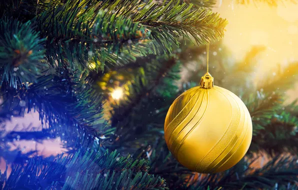 Picture balls, holiday, balls, toy, new year, Christmas, needles, Christmas decorations