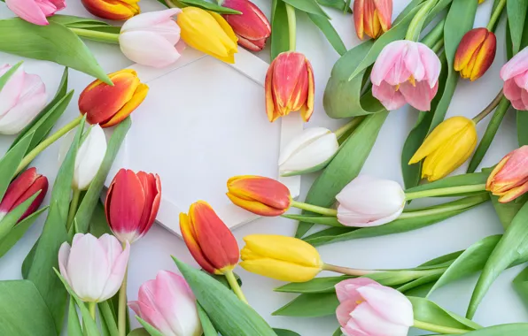Leaves, flowers, stems, bouquet, yellow, tulips, red, pink