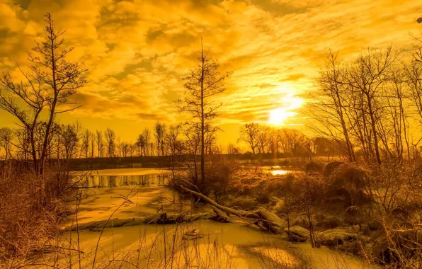 Picture winter, sunset, river