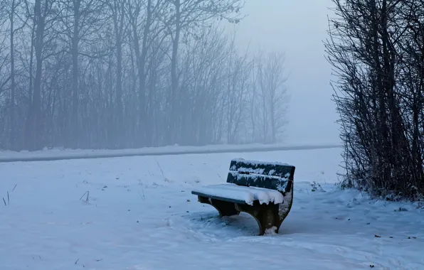Winter, snow, bench