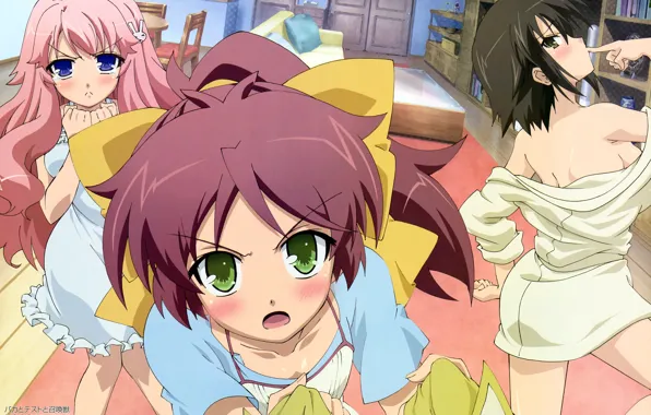 Baka to Test to Shoukanjuu, avatars, Himeji Mizuki, tests, Imad Mine, Fools