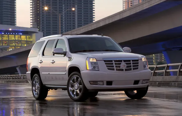 Cadillac, SUV, Escalade, Hybrid