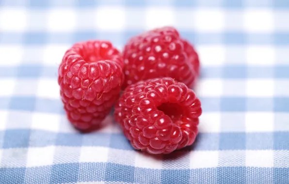 Berries, raspberry, tablecloth, napkin