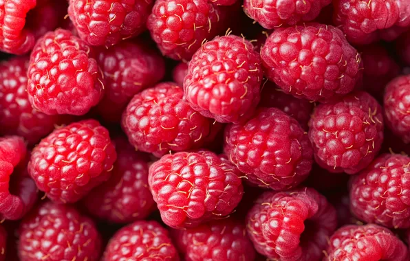 Berries, raspberry, harvest, a lot, AI art, neural network