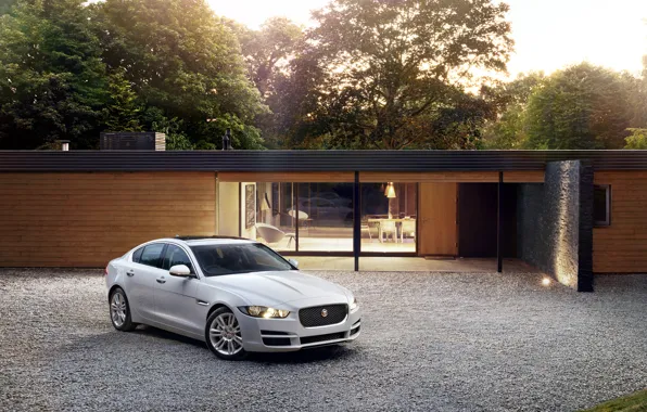 Jaguar, portfolio