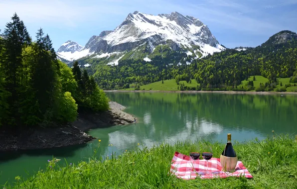 Greens, forest, summer, grass, the sun, trees, mountains, nature