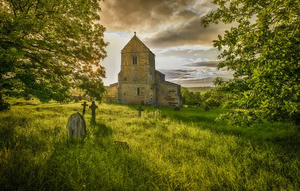 Field, grass, light, trees, branches, crosses, Church, cemetery