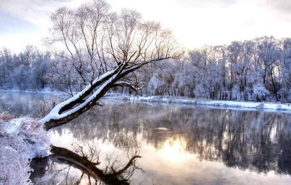 Cold, winter, trees, landscape, nature, reflection, river, wonderland
