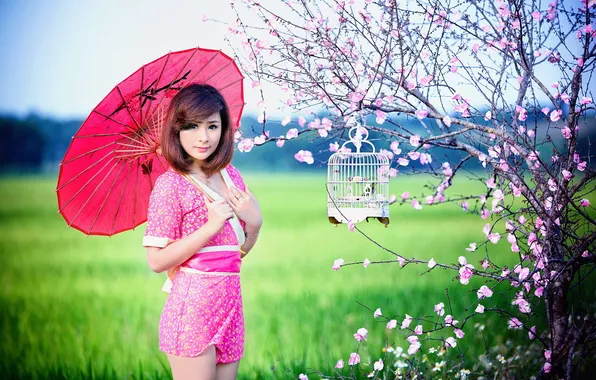 Picture girl, umbrella, Sakura, Asian