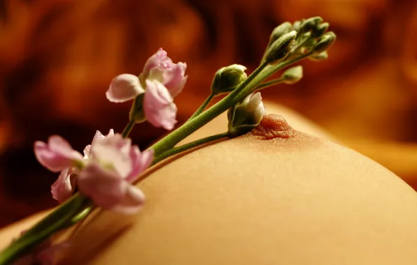 Chest, flowers, sosk