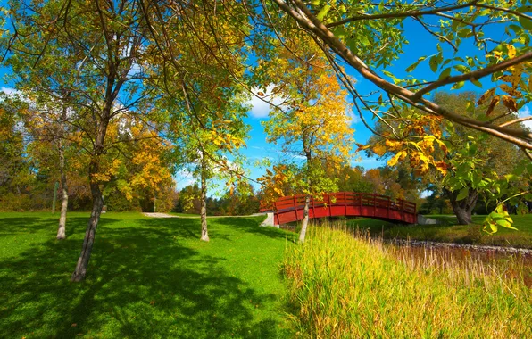 Autumn, leaves, trees, Park, the bridge, the crimson