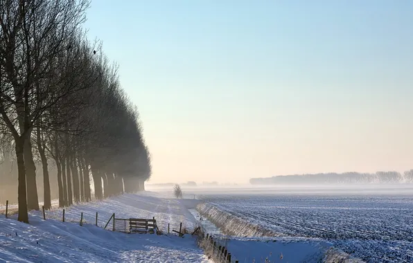 Picture road, field, snow, landscape