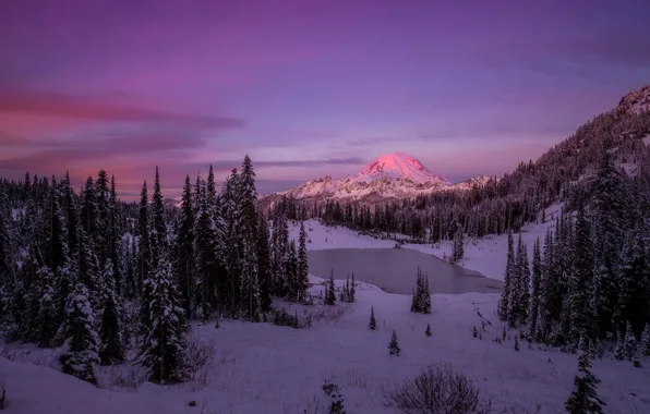 Winter, forest, snow, sunset, mountains, Doug Shearer