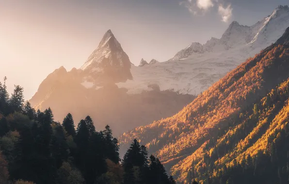 Picture golden, mountain, snow, capped, alpine, peak