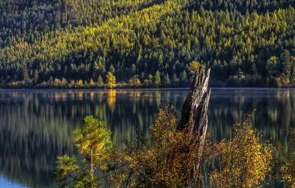 Autumn, forest, trees, mountains, nature, lake, reflection, shore