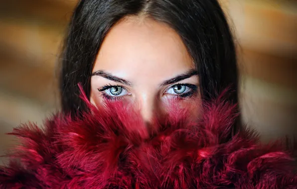 Look, portrait, feathers, feathers, look, portrait, beautiful brunette, beautiful brunette