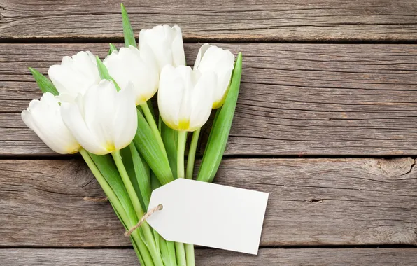 Flowers, bouquet, tulips, white, wood, flowers, tulips, spring