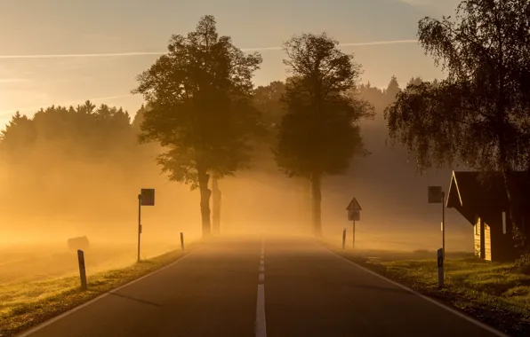 Road, fog, morning
