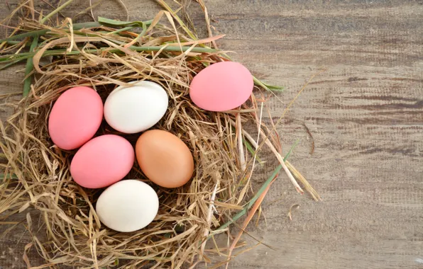 Holiday, eggs, spring, Easter, socket