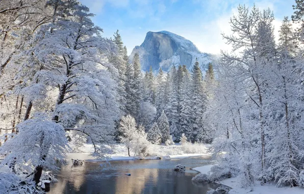 Winter, forest, mountains, river