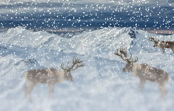 Winter, the sky, snow, mountains, clouds, fog, rendering, tops