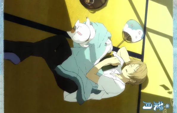 Cat, sleep, blanket, fan, tray, The Natsume book of friendship, tatami, Nyanko-sensei