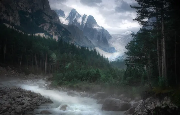 Forest, clouds, snow, trees, mountains, fog, stream, stones