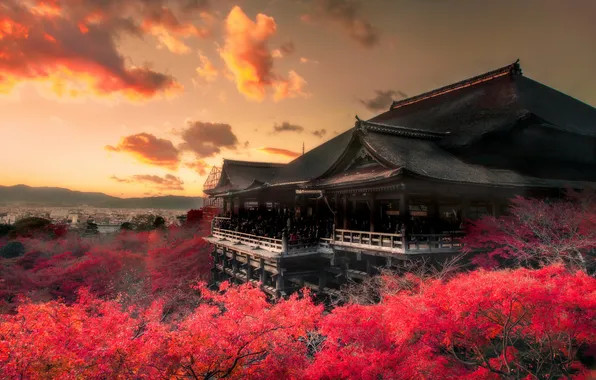 Autumn, forest, people, the building, Asia, pagoda, tourists, red foliage