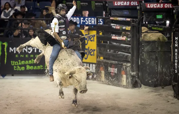 Picture sport, Professional, Bull Riders