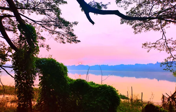 Sky, Water, Sunrise, Dawn, Morning, Lake, Trees, First Light